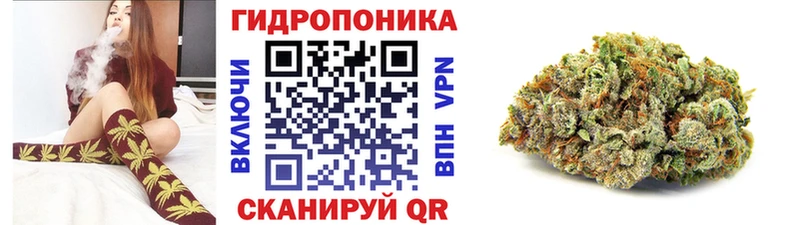 Канабис планчик Костерёво