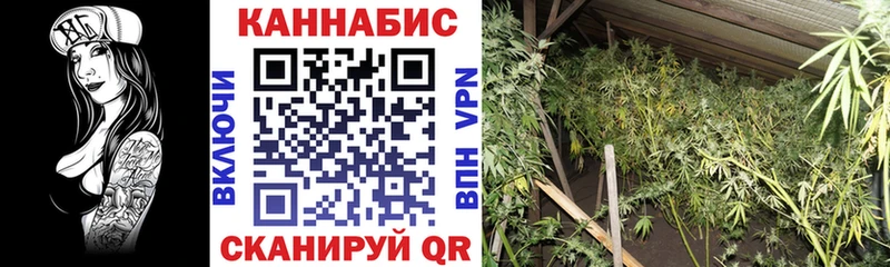 наркота  Костерёво  Конопля ГИДРОПОН 
